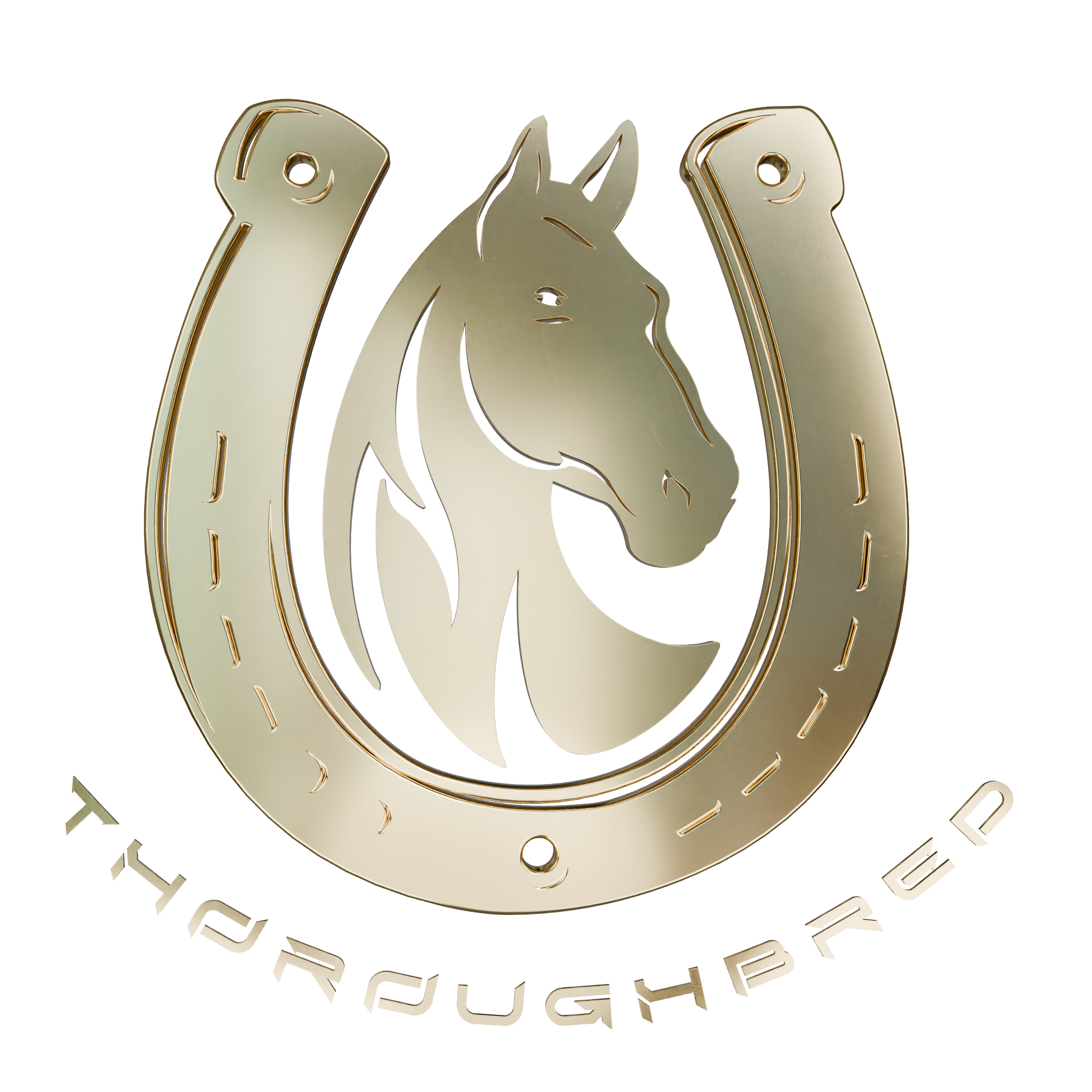 Thoroughbred